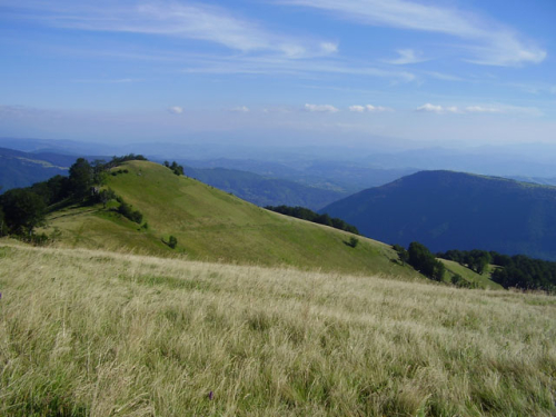 Prirodne ljepote Borovice