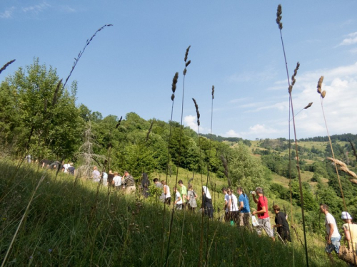 Preobraženje 2017