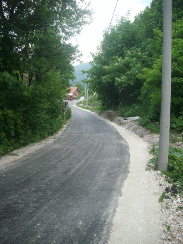 Asfalt u Borovici