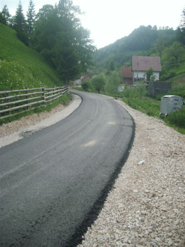 Asfalt u Borovici