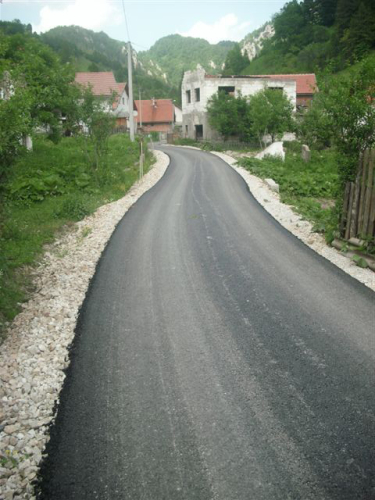 Asfalt u Borovici