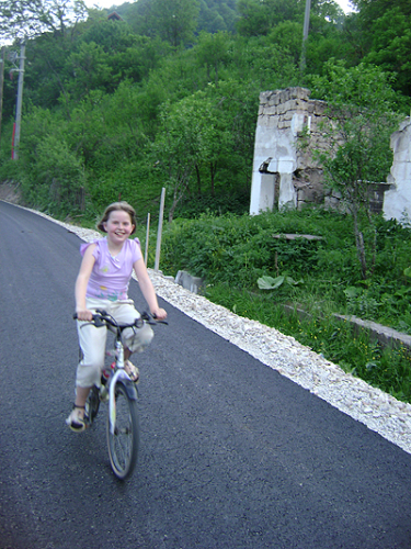Asfalt u Borovici
