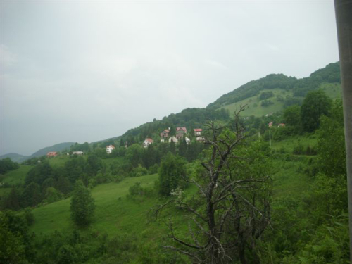 Asfalt u Borovici