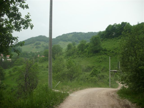 Asfalt u Borovici