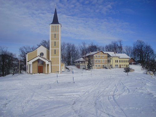 Borovica zimi