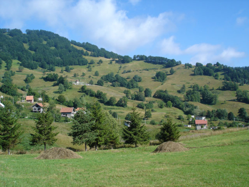 Prirodne ljepote Borovice