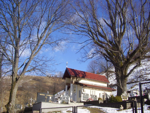 Prirodne ljepote Borovice