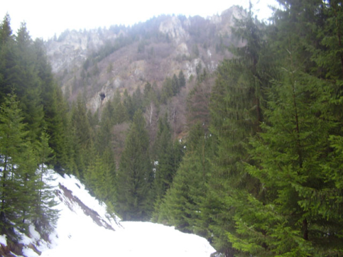 Prirodne ljepote Borovice