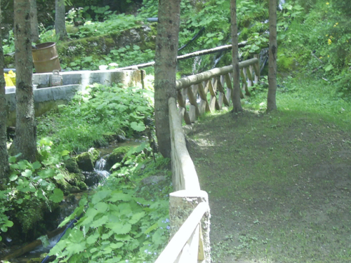 Prirodne ljepote Borovice