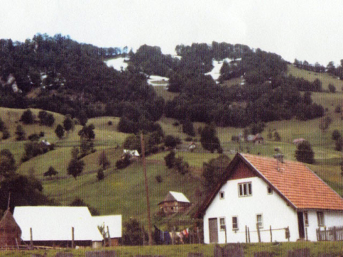 Prirodne ljepote Borovice