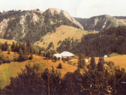 Prirodne ljepote Borovice