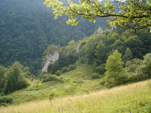 Prirodne ljepote Borovice