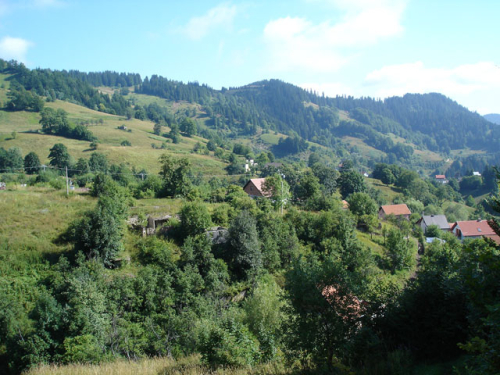 Prirodne ljepote Borovice