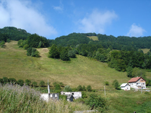 Prirodne ljepote Borovice