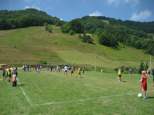 Borovički patron 2010