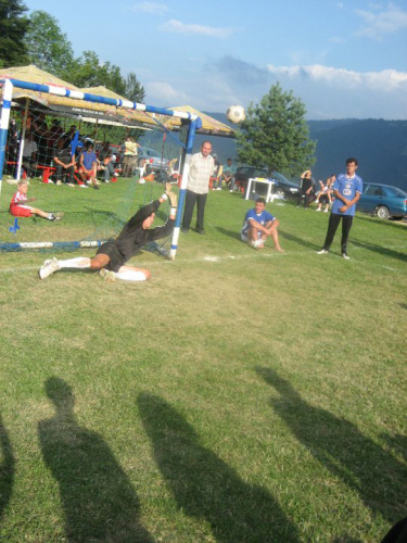 Borovički patron 2010