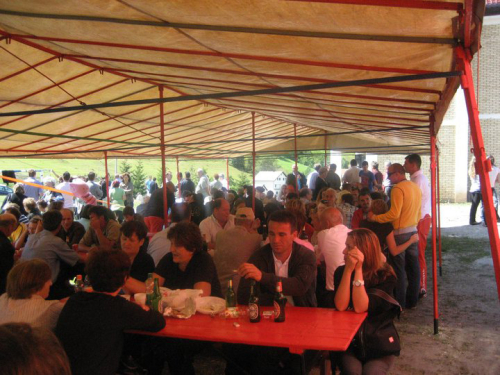 Borovički patron 2010
