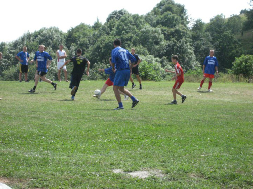Borovički patron 2010