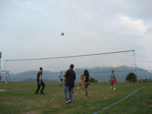 Borovički patron 2010