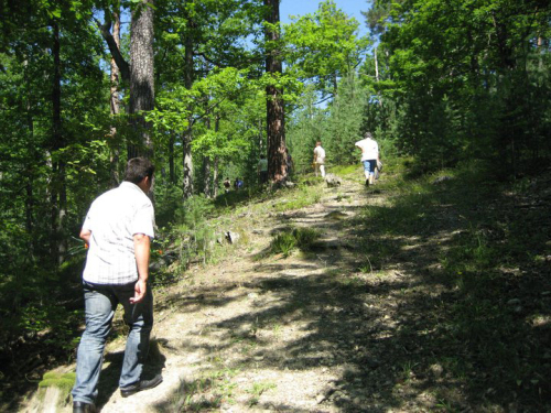 Borovički patron 2010