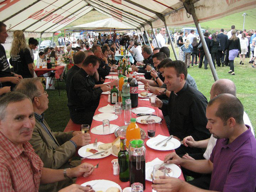 Borovički patron 2010