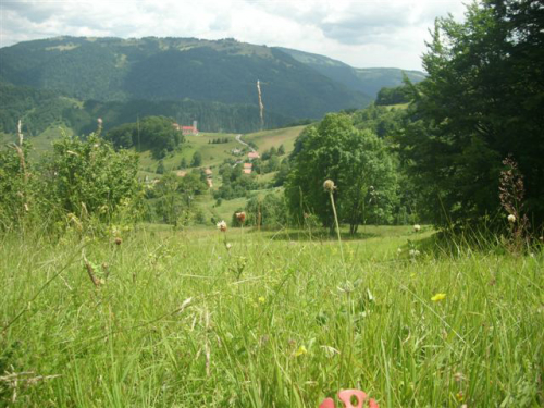 Preobraženje 2009