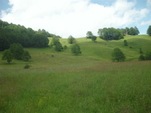 Preobraženje 2009