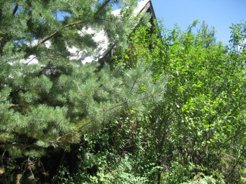 Preobraženje 2012