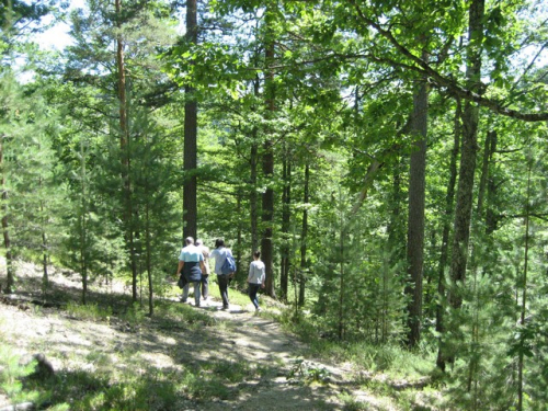 Preobraženje 2012