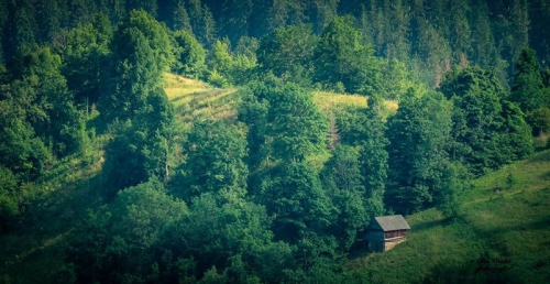 Preobraženje 2015