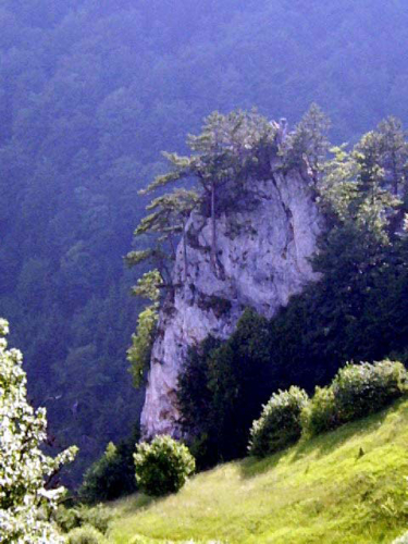 Prirodne ljepote Borovice