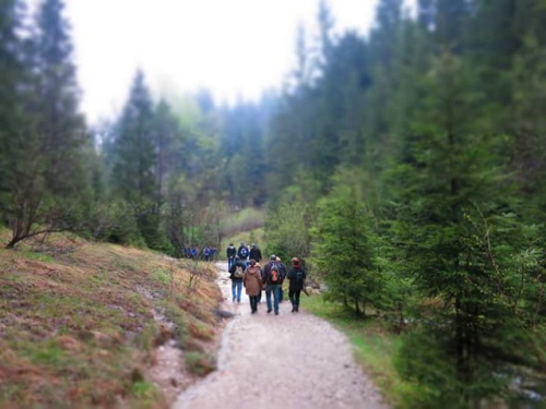 Slovačka 2015