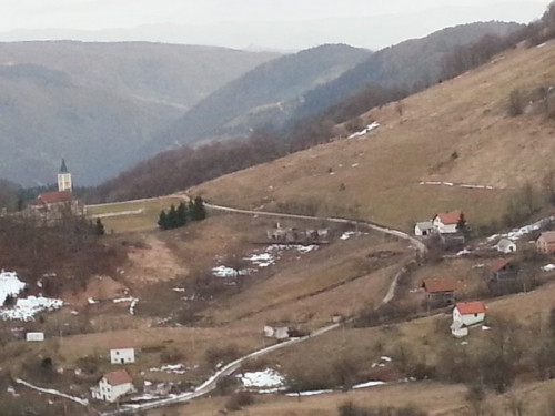 Borovica zimi