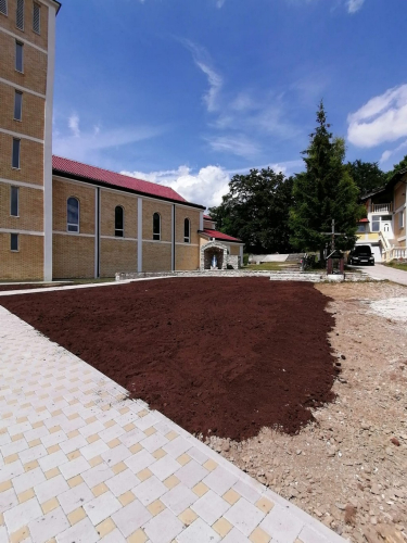Borovica 2020-2021